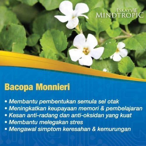 Bahan Mindtropic 2