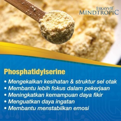 Bahan Mindtropic 5
