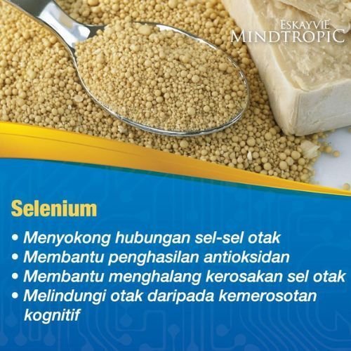 Bahan Mindtropic 3