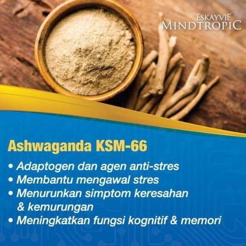 Bahan Mindtropic 1